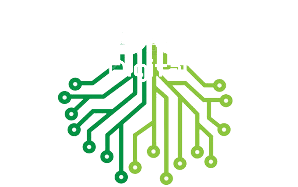 Root Digital